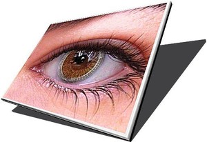 מסך למחשב נייד בגודל 10 אינטש