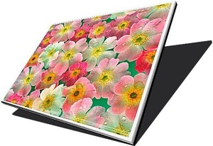 מסך למחשב נייד Laptop Screen 14.1 XGA LCD 1024X768 CCFL