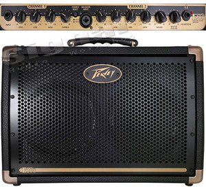 מגבר לגיטרה אקוסטית PEAVEY E208 20W 2*8