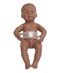 בובה אנטומית בן כהה גילגן