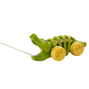 התנין הרוקד פלאנווד  ענטל