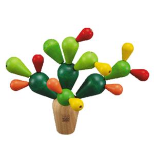 אזן את הקקטוס - משחק חשיבה ענטל