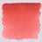 chinacridone red light 343