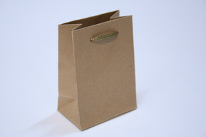 שקיות קרטון ידיות שרוכים 12/14+6 טבעי