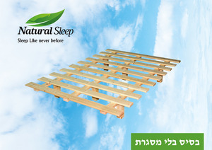 בסיס עץ דגם ברוש