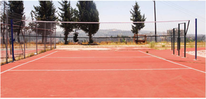 זוג עמודים לכדורעף אלומיניום