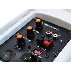 זוג רמקולים מוגברים 5.25 PA40 WHT BTS