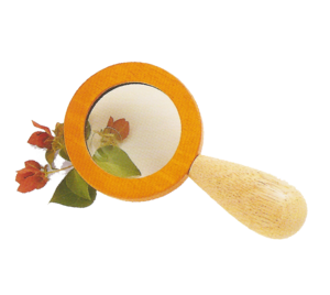 זכוכית מגדלת מסגרת עץ ענטל