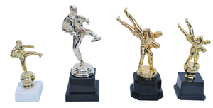 גביע ג'ודו גדול - גובה 24 ס"מ