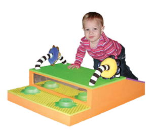 מדרגת פעילות פיירפליי