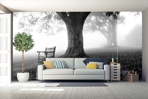 קיר העץ והספסל - קרוב שחור לבן