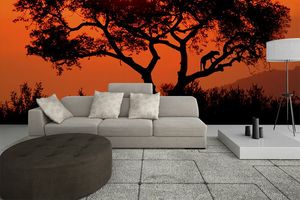 קיר טיפוס הנמר בשקיעה