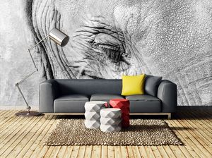 קיר עין הפיל שחור לבן