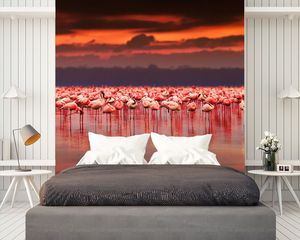 טפט קיר פלמנגו בשקיעה