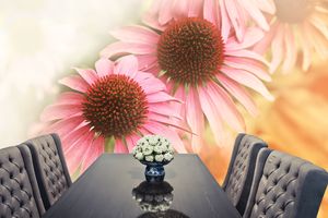 טפט קיר צילום פרחים בורוד