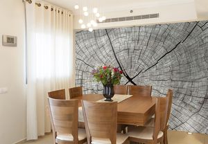 טפט קיר צילום גזע עץ בשחור ולבן.