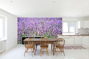 טפט קיר שדה פרחי התורמוס הסגולים