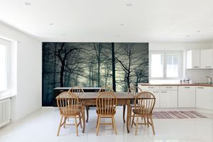 טפט קיר צילום היער בשעת הבוקר.