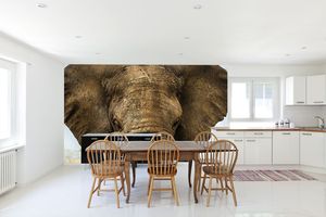 טפט קיר צילום פני הפיל.