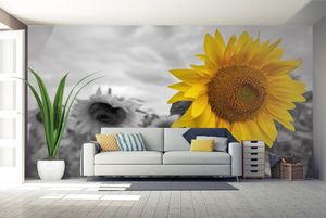 טפט קיר צילום החרצית הצהובה על רקע שחור ולבן.