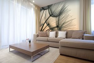 טפט צילום גבעולים ברוח על רקע שקיעה