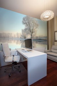 קיר צילום העץ הלבן.