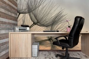 טפט צילום גבעולים ברוח על רקע שקיעה