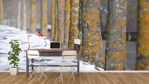 קיר צילום גזעי עץ בשביל המושלג.