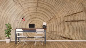 קיר צילום חתך גזע עץ.