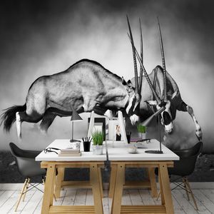 קיר צילום המלחמה בשחור ולבן.