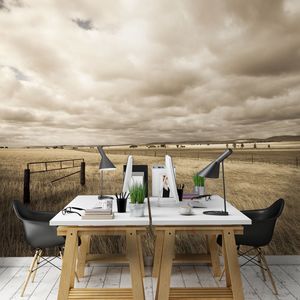 קיר צילום שדה פתוח.