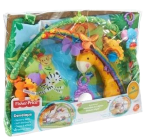 אוניברסיטת שטיח יער הגשם סקאל