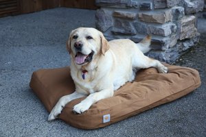 103272 מיטת כלב  DOG BED חום קארהארט® ®Carhartt 