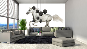 קיר צילום הסוס הדוהר.