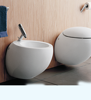 ניאגרות \ אסלות ובידה