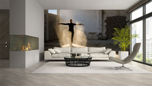 קיר צילום הרקדנית והצל.