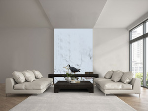 קיר צילום הציפור על רקע בהיר.