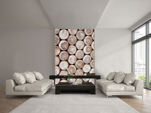 קיר צילום פקקי השעם.