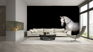 קיר צילום הסוס הלבן הדוהר על רקע שחור.