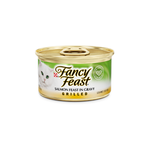 פנסי פיסט-גריל סלומון