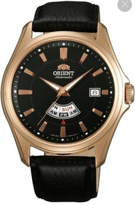 Orient FFN02002BH