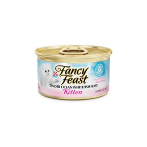 פנסי פיסט לגורי חתולים-פטה דגי אוקינוס