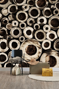 טפט קיר הבמבוקים ממבט על.