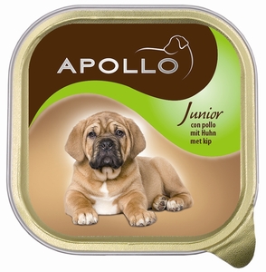 אפולו Apollo מעדן לכלבים גורים 150 ג'