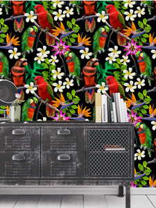 טפט קיר התוכים הצבעוניים.