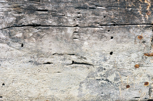 טפט קיר לוחות העץ המחוררות בגוון אפור.