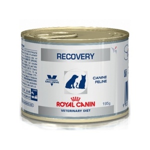 רויאל קנין Royal canin לכלב ולחתול-ריקוברי 156 ג'