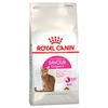 רויאל קנין Royal canin לחתול אקסיג'נט סוואר - 4 ק"ג
