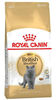 רויאל קנין Royal canin לחתול בריטי - 4 ק"ג