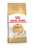 רויאל קנין Royal canin לחתול ספינקס - 2 ק"ג